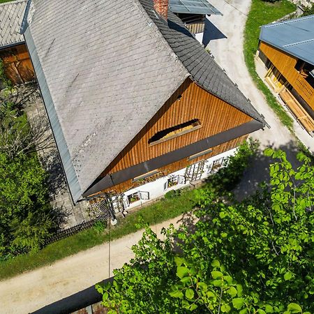 House, Garden And A Green Cat Bled Exterior foto