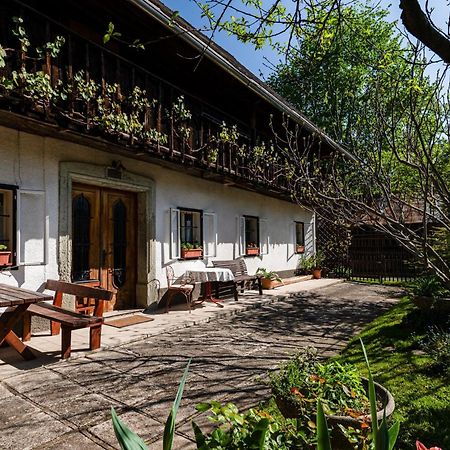 House, Garden And A Green Cat Bled Exterior foto