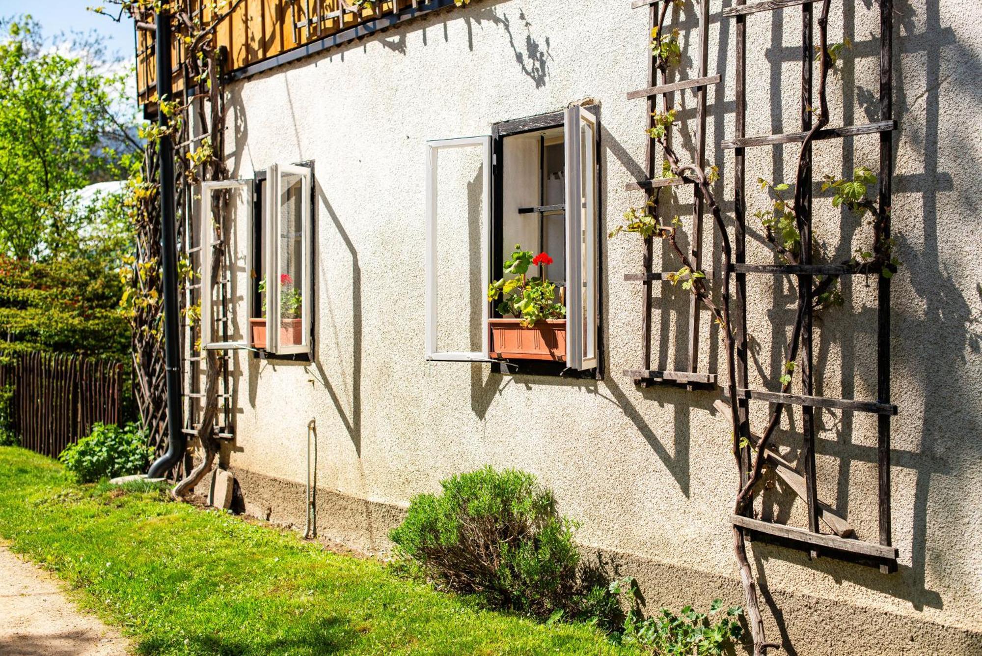 House, Garden And A Green Cat Bled Exterior foto