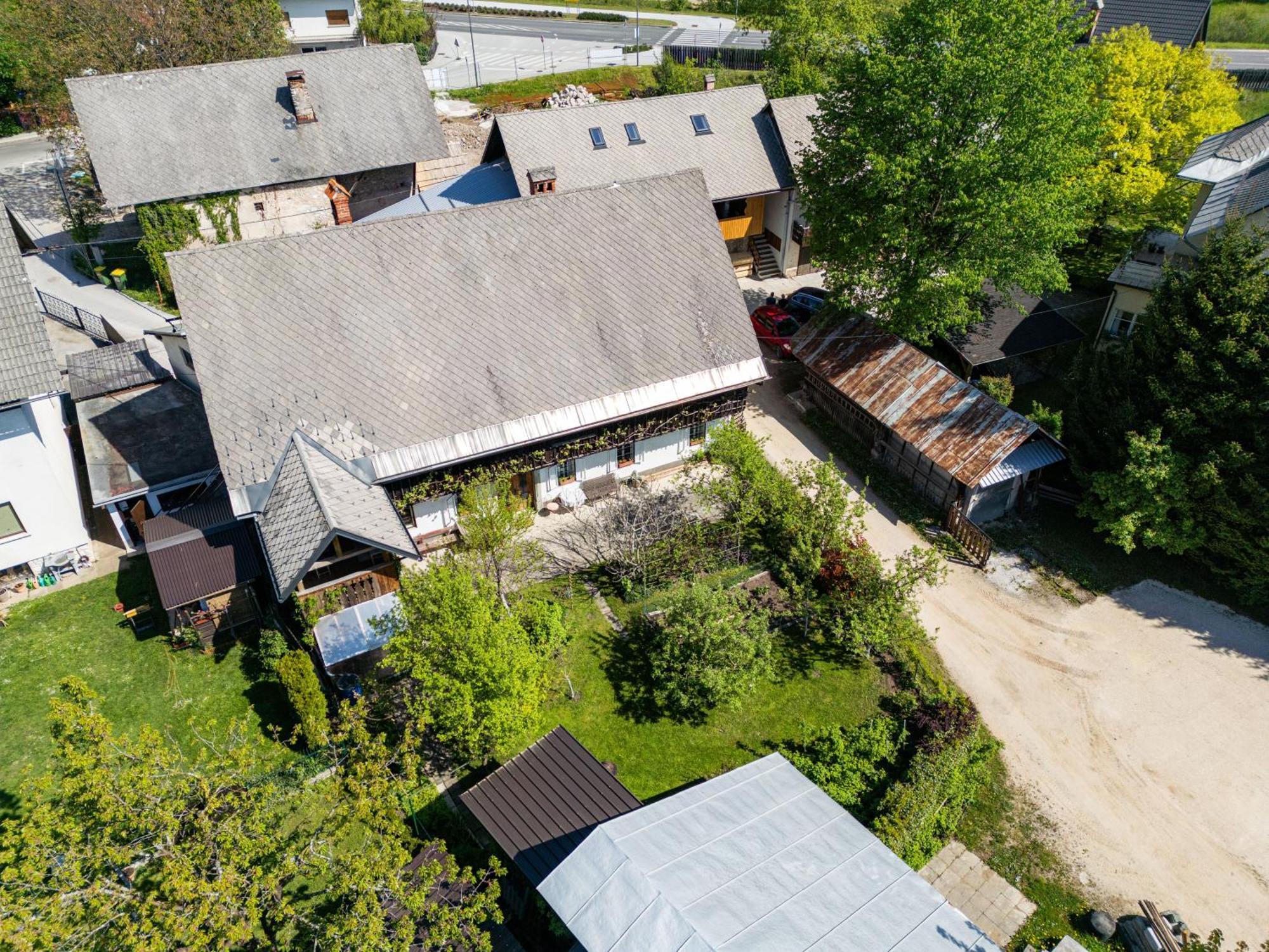 House, Garden And A Green Cat Bled Exterior foto