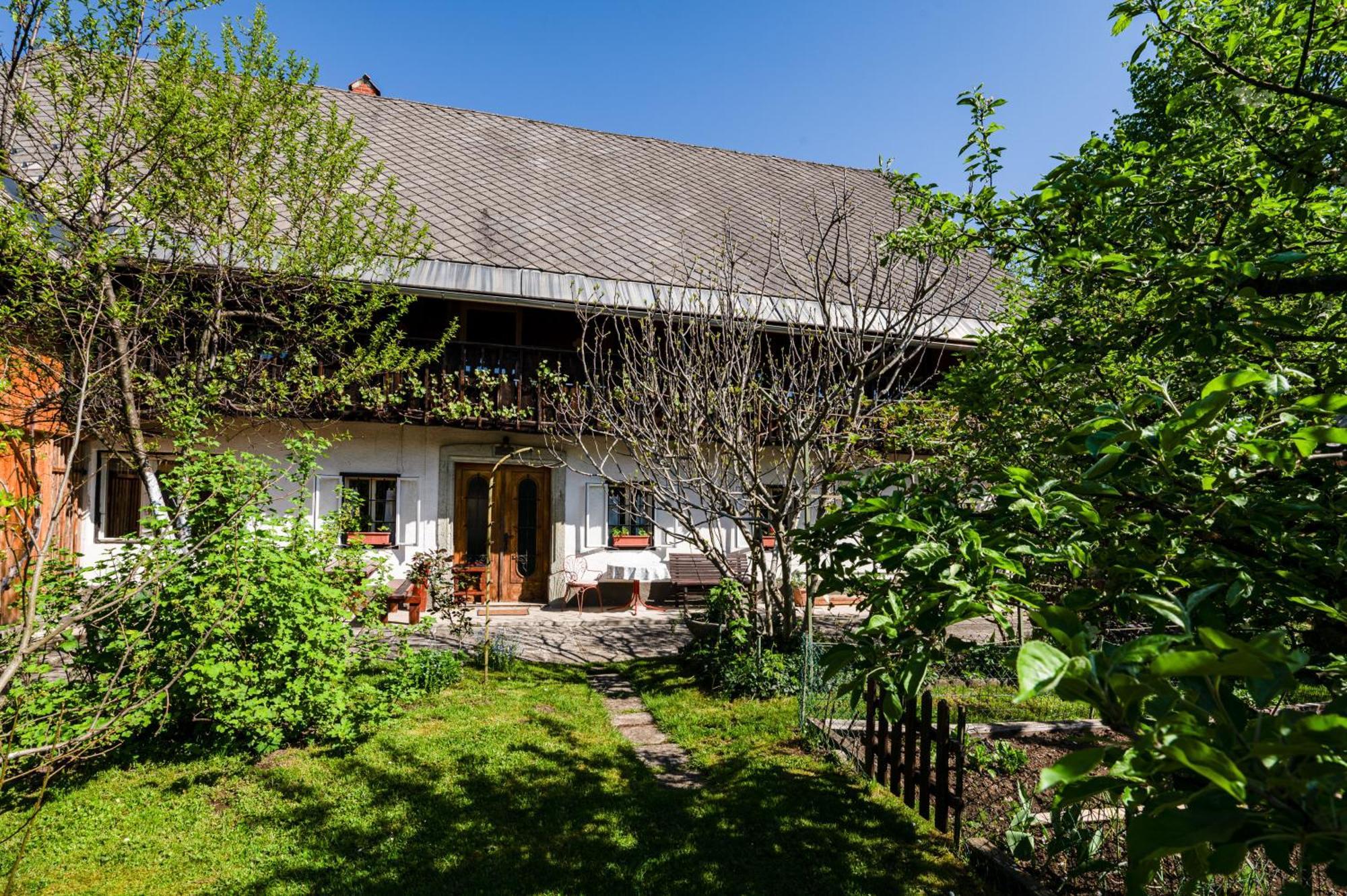House, Garden And A Green Cat Bled Exterior foto
