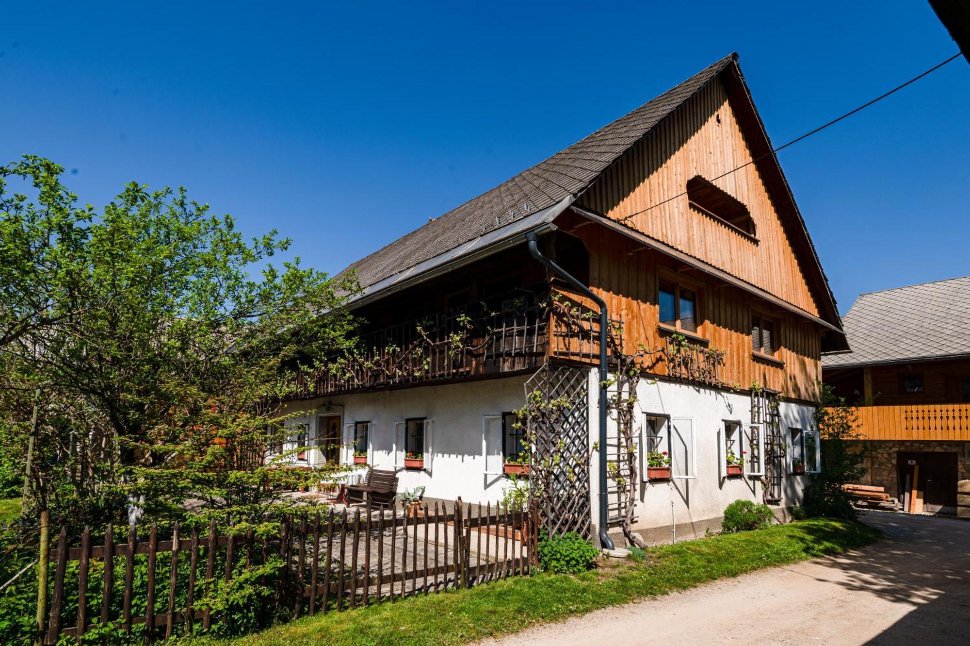 House, Garden And A Green Cat Bled Exterior foto