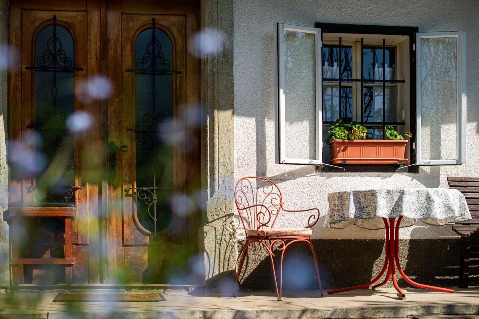 House, Garden And A Green Cat Bled Exterior foto