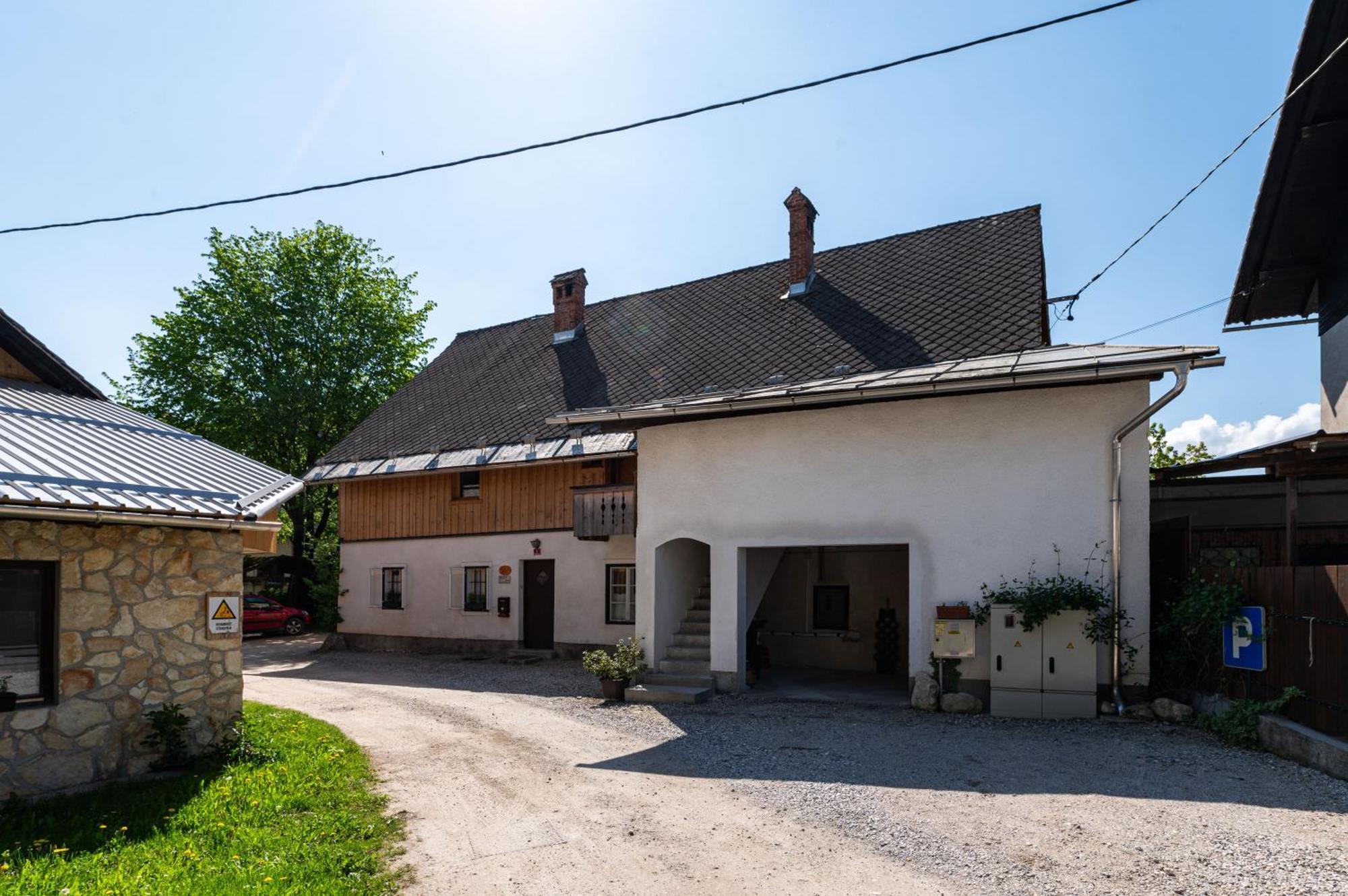House, Garden And A Green Cat Bled Exterior foto