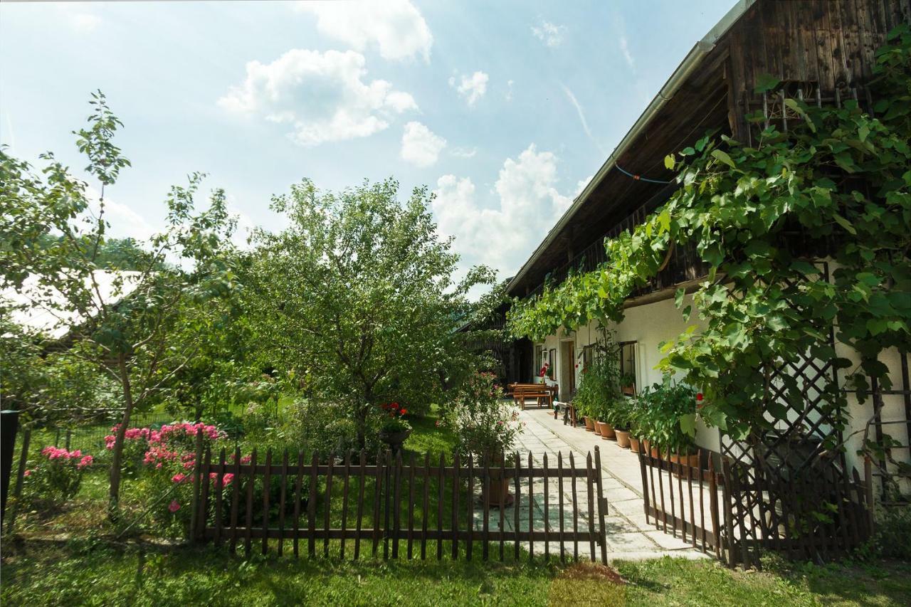 House, Garden And A Green Cat Bled Exterior foto